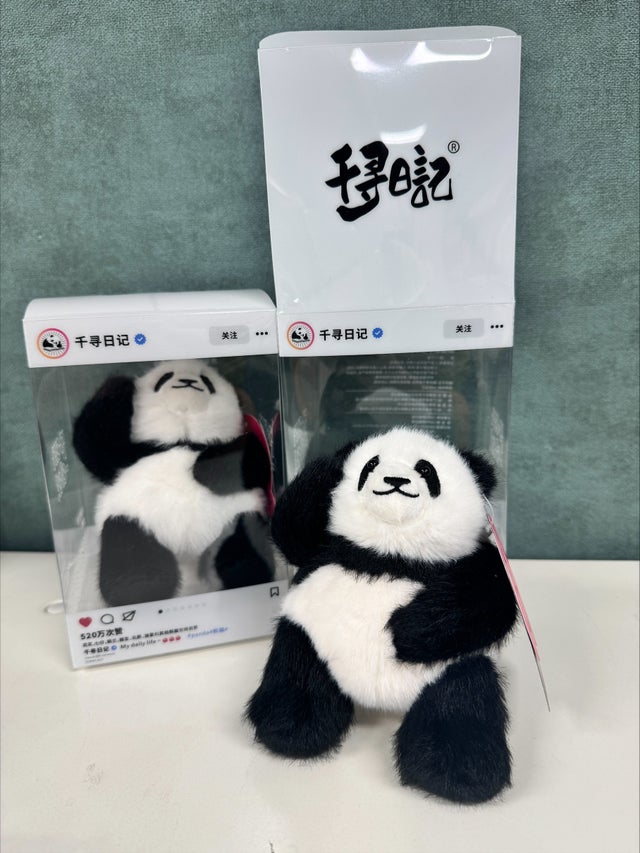 パンダグッズ | 行知学園書店