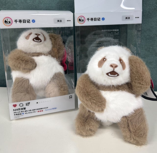 行知学園書店