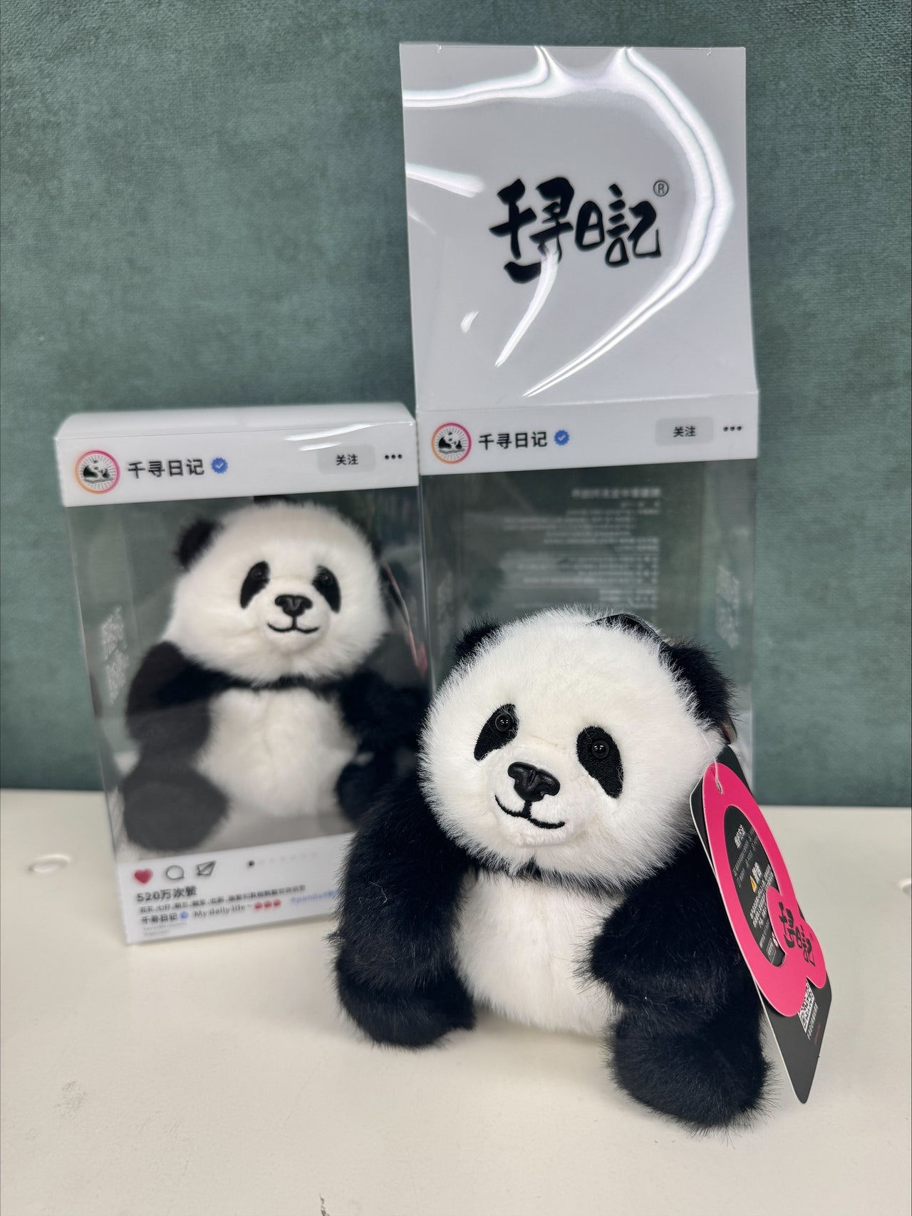 行知学園書店