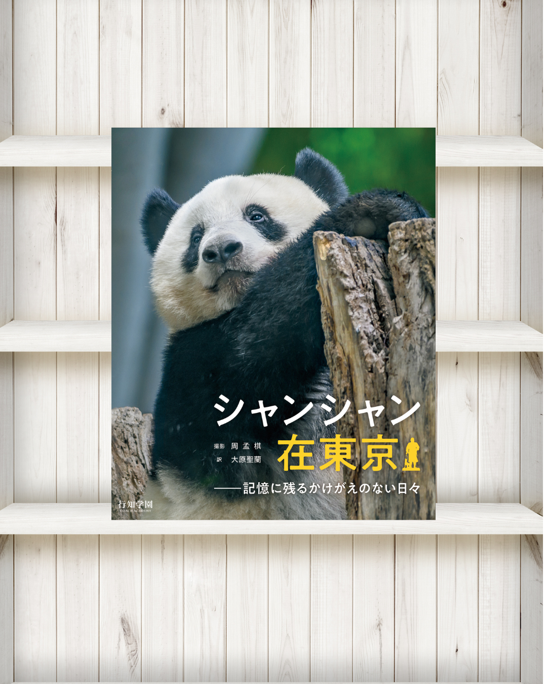 写真集】『シャンシャン在東京――記憶に残るかけがえのない日々』 | 行