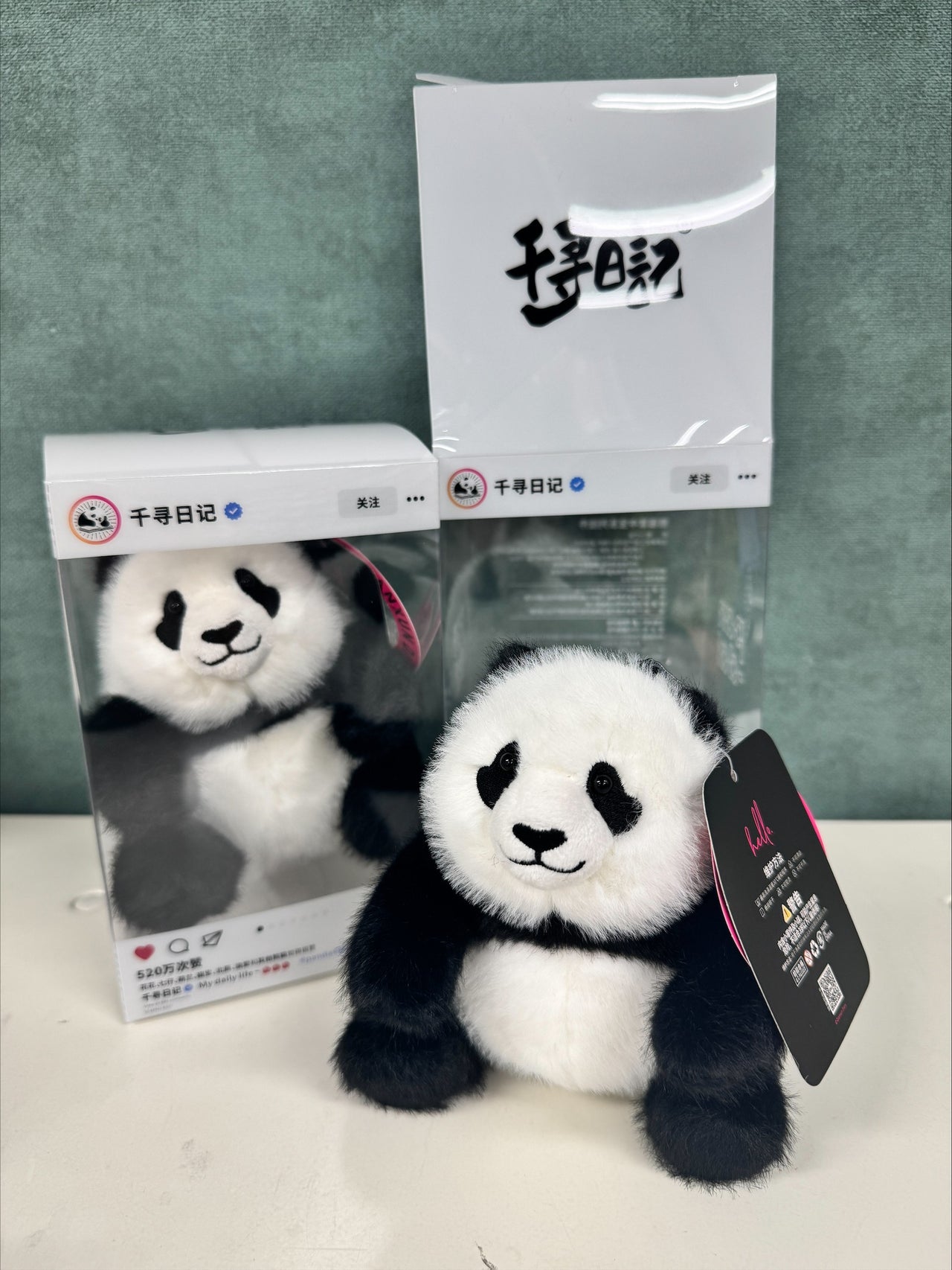 パンダグッズ | 行知学園書店