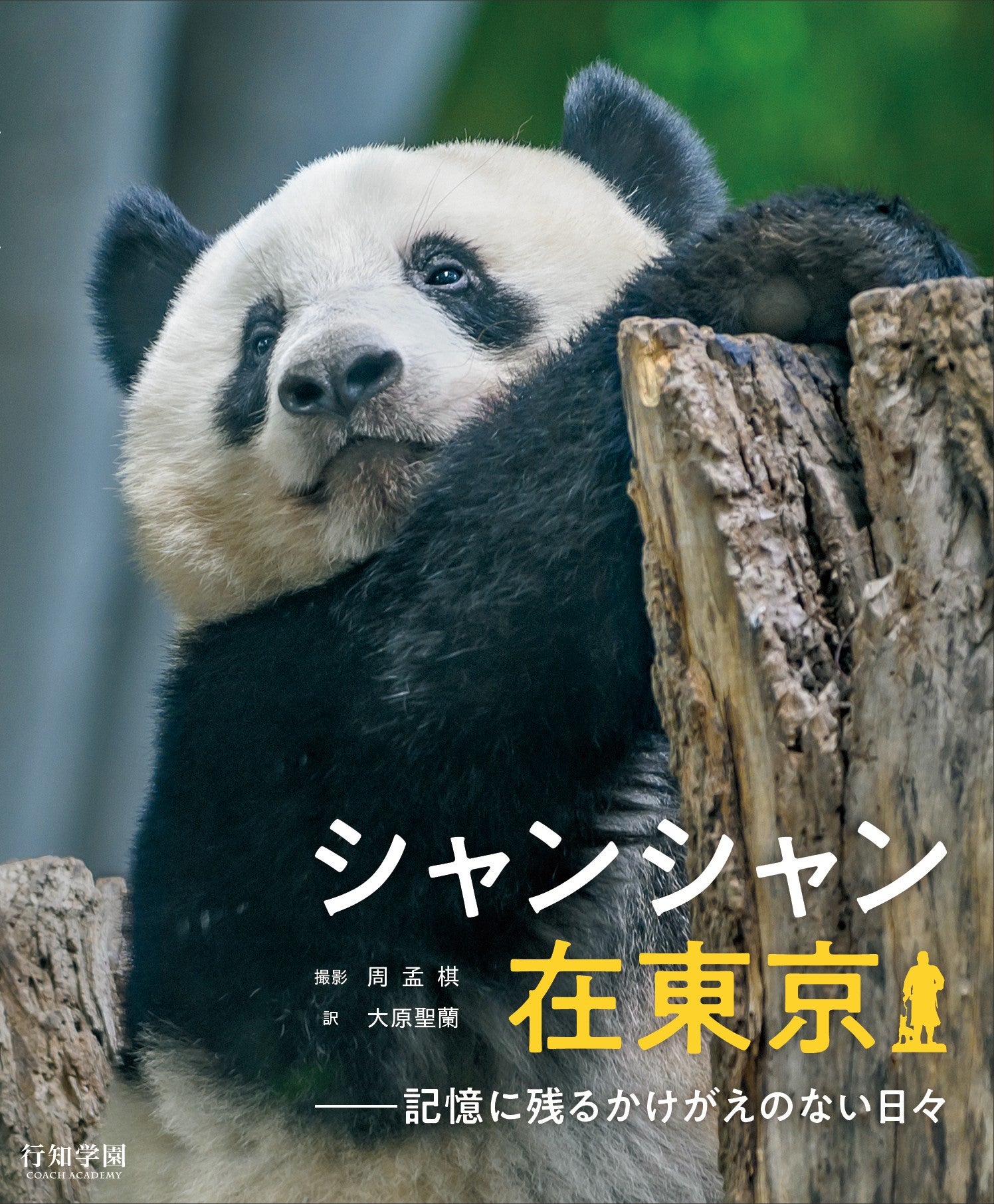 写真集】『シャンシャン在東京――記憶に残るかけがえのない日々』 | 行